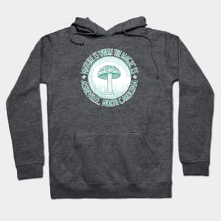 Nature Is Where The Magic Is Asheville, NC - Mushroom - Mint 18 Hoodie